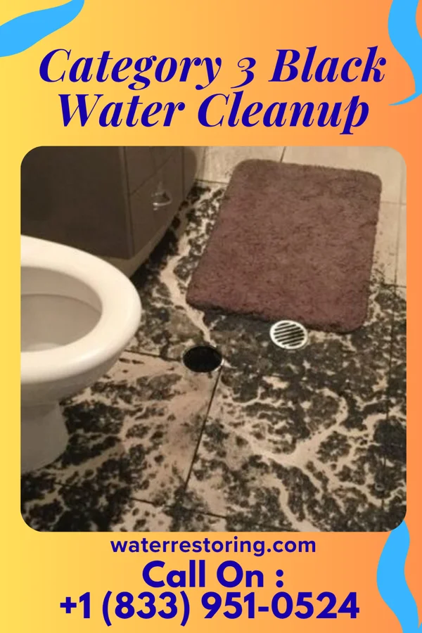 Category 3 Black Water Cleanup in Deport, TX