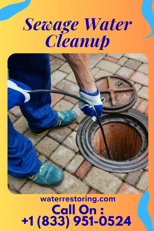Sewage Water Cleanup in Deport, TX